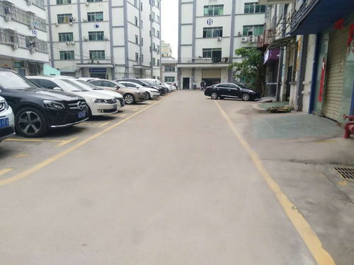 深圳坂田汽车站旁优质标准厂房出租，550平高标空间，满足多样化需求