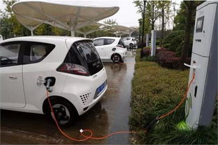 上海海博君亿汽车租赁 专业出行解决方案的可靠之选